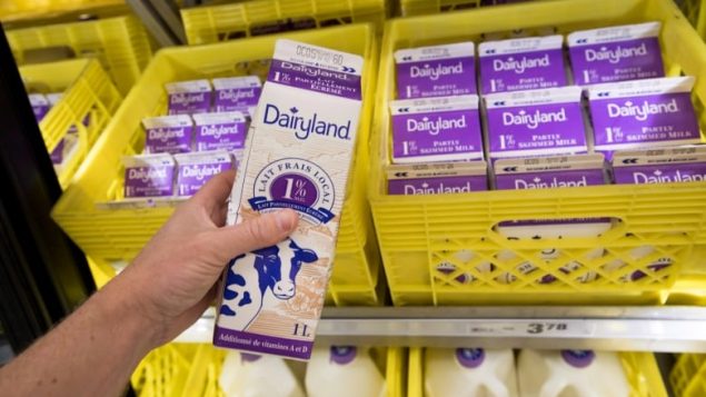 政府虽让步，民众要抵抗：加美牛奶大战尚未结束