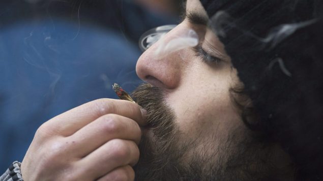 蒙特利尔出新规：能吸烟的地方就能吸大麻