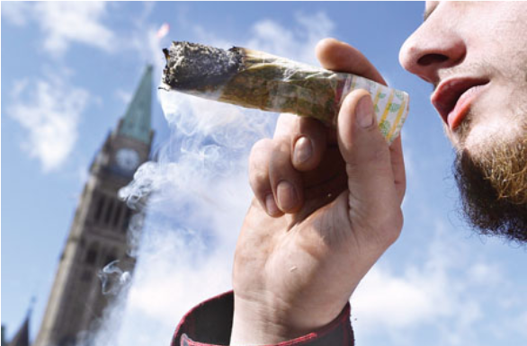 加拿大非药用大麻 地下经济达33亿