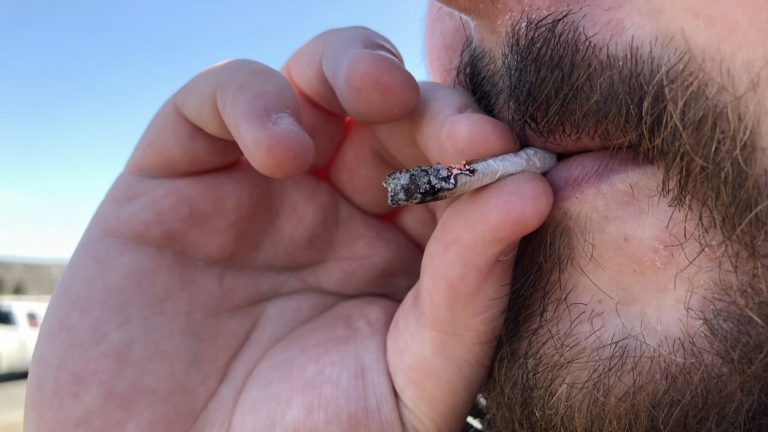 麦大新研究: 年轻人吸大麻后开车出车祸风险大增