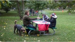 加拿大大麻合法化后这十种做法仍算违法