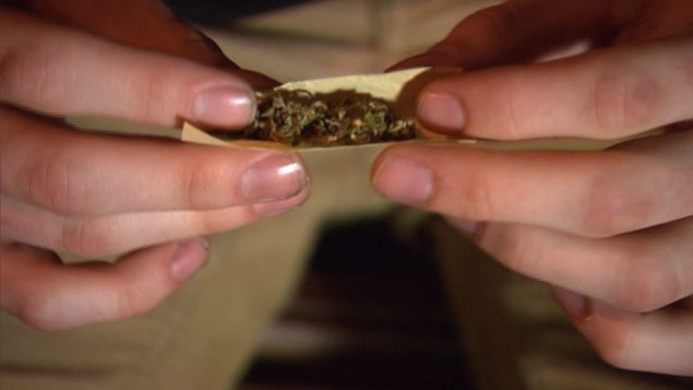 加拿大 6 年内要花 1个亿来开展大麻教育