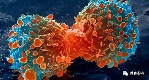 九成的癌症都是自找的!全世界公认的抗癌处方