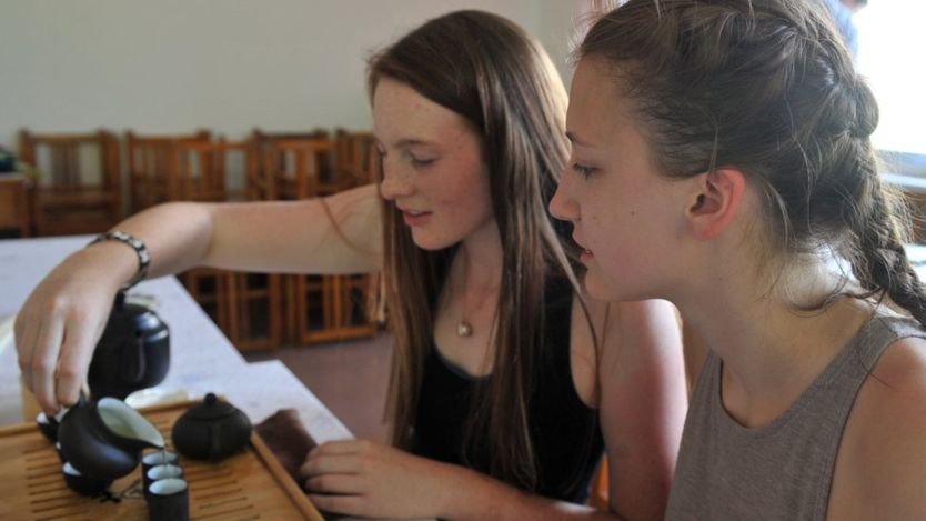 中澳关系紧张下 孔子学院触发的争议