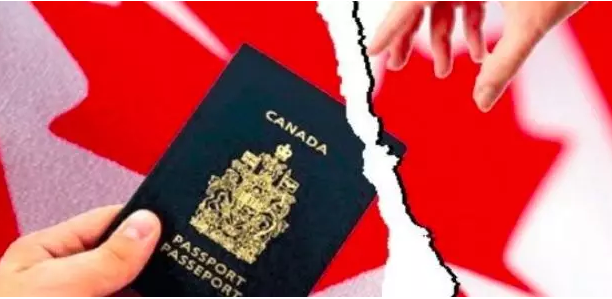 20181007_15389765741382.png image.png