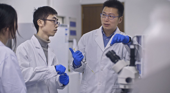 那些出国的中国精英教育阶层去哪了?还回国吗？