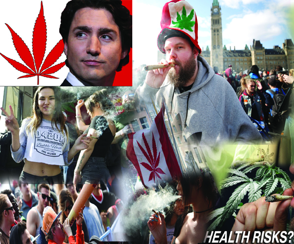 10月17日 大麻合法化正式上路  合法与非法市场将面临挑战