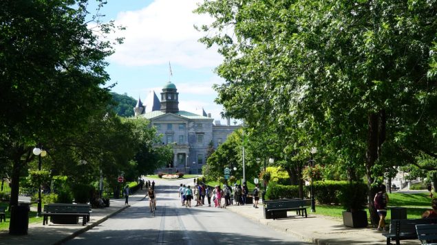 两百多名沙特住院医即将离开，麦吉尔大学医学院要求所有住院医加强互助
