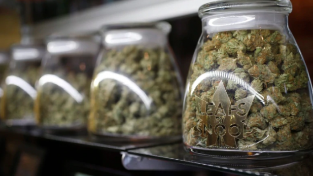 安省大麻法规细则：19岁+网售+私家店