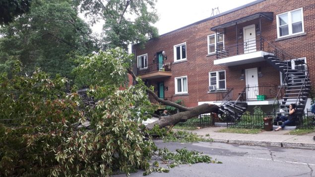 蒙特利尔暴风雨造成多达11万家一度停电