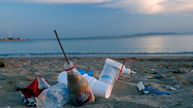 给孩子留下干净的河湖：蒙特利尔摄影师组织捡拾水边塑料