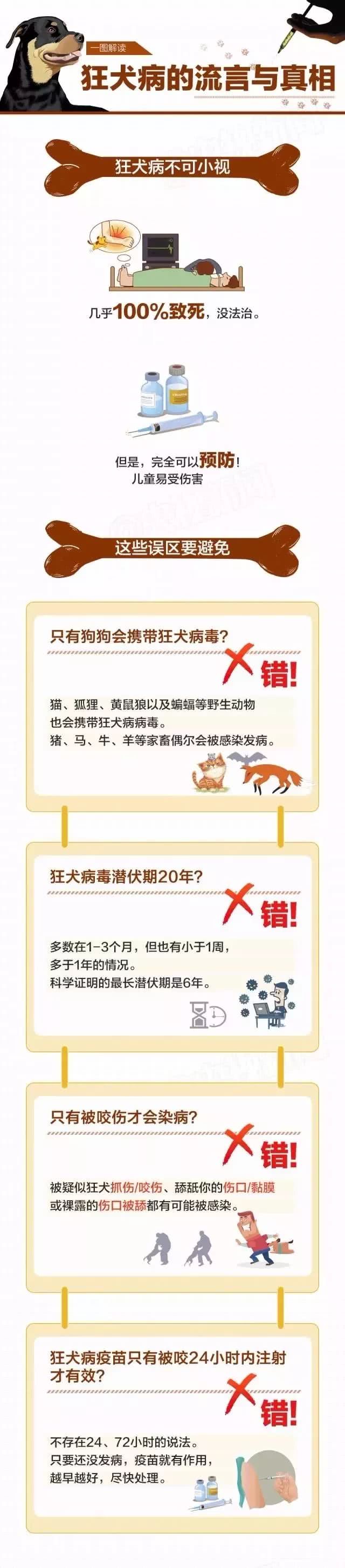 世界狂犬病日：你一定要了解的10个狂犬病常识