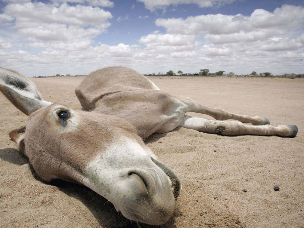 MIT研究：中国北部平原将成死亡区域 包括北京