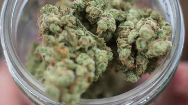 加拿大合法大麻短缺会继续好几年