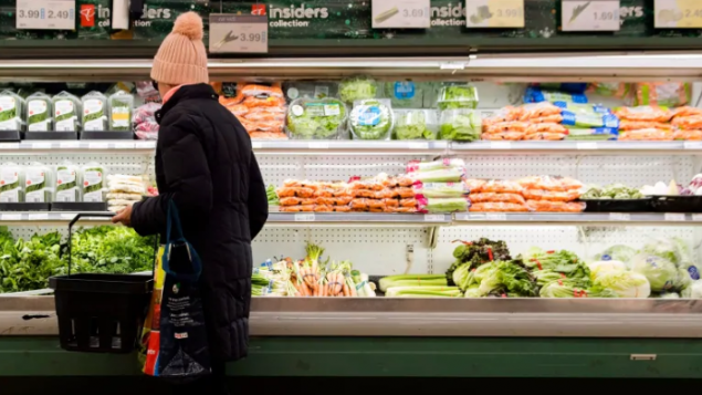 加拿大单身 “贵族” 大增带来的新商机