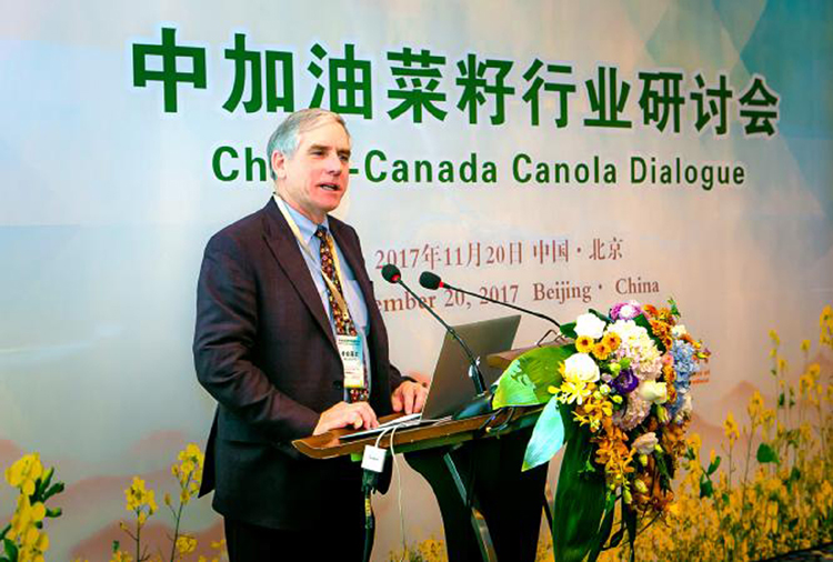 面对中国停购油菜籽 加国农场主进退两难