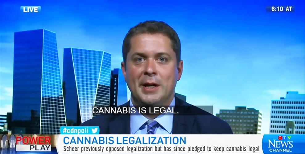 保守党又“不反大麻”了，机会主义还是缺乏有效政纲？