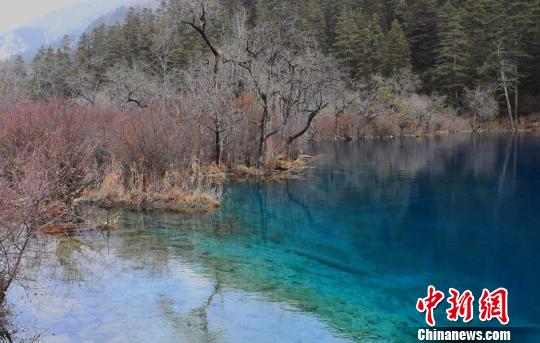 美丽的九寨沟。　安源 摄