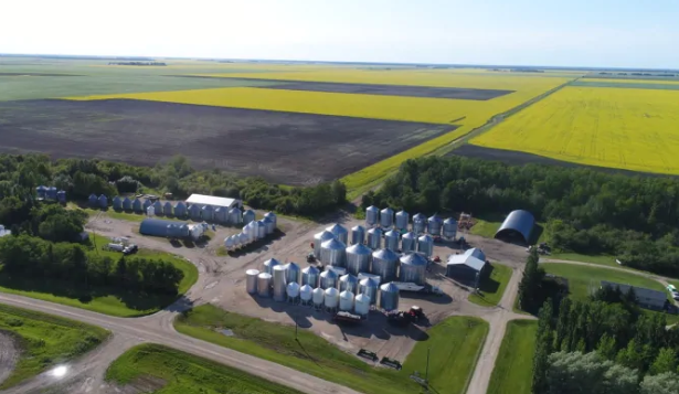 拿出5650万加元这万顷良田就归你