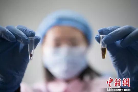 资料图：工作人员提取DNA。 韦亮 摄