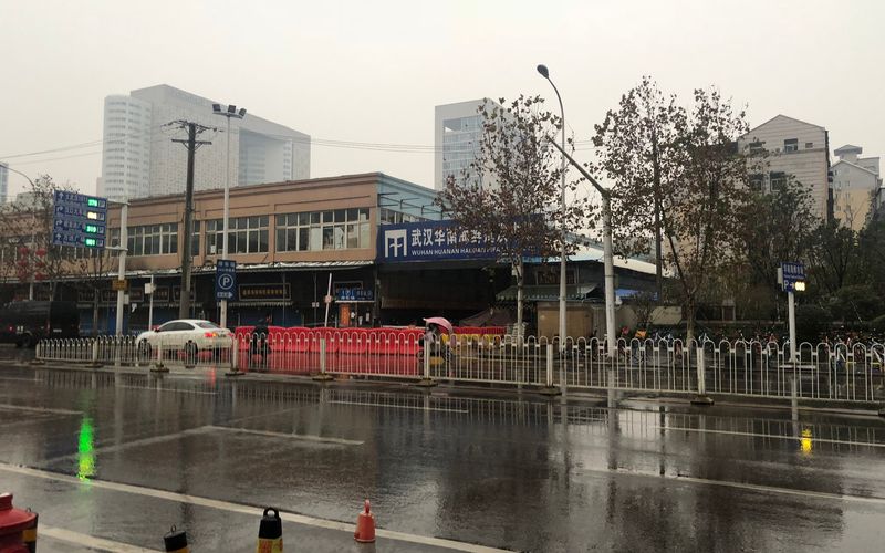 疫情之后，全面禁食野生动物之路到底还有多远?