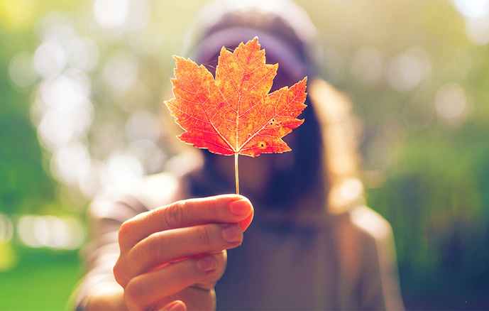 新民主党施政报告毫无实质改善卑诗民生