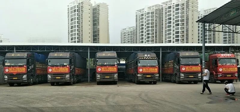 加拿大华人社团联席会购海南贫困地区菜蔬驰援湖北疫区