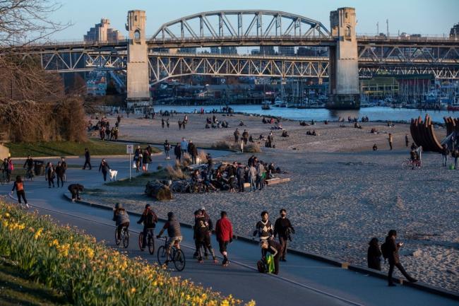 脑子浸水！竟有五分之一加人对疫情不信邪不隔离