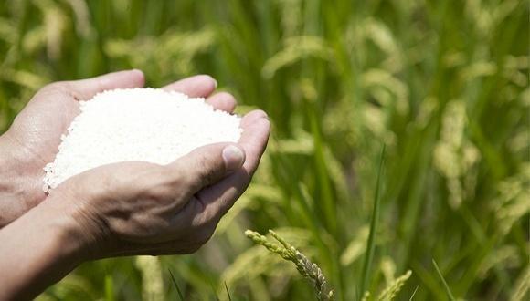 更可怕的事发生  5国限制粮食出口  多国告急!