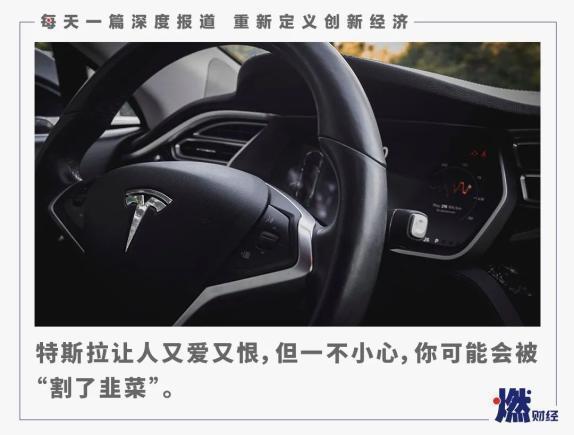 特斯拉在中国割韭菜 买车开100公里掉价8万