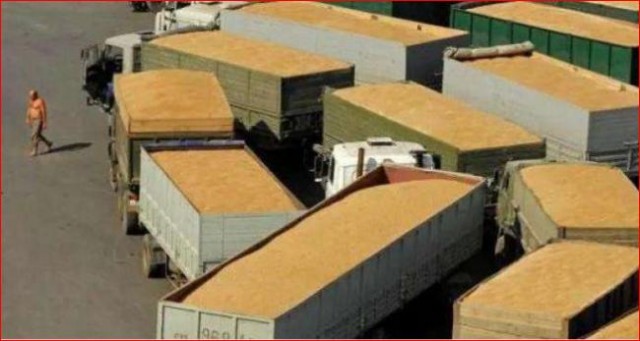 北京下令屯粮 加速购买美农作物