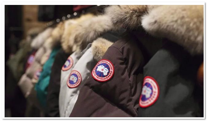 加拿大鹅摊上事了！在中国被罚款45万！