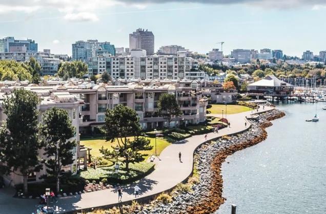 35岁加拿大小伙四年买了7套房子实现财务自由