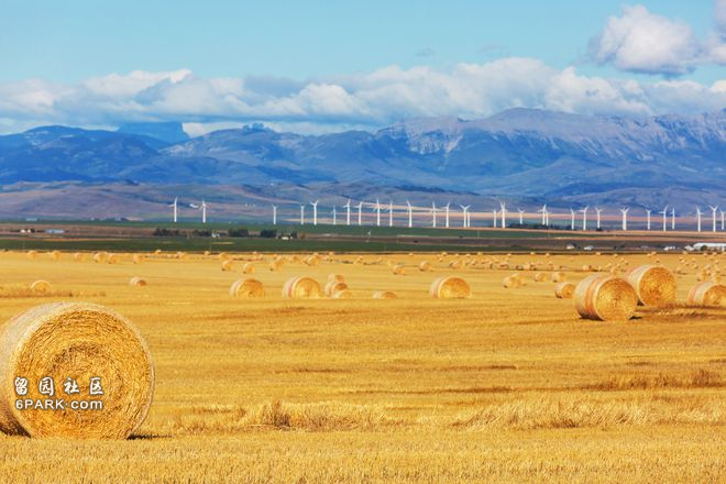 小麦价格大涨40%!联合国:威胁全球粮食安全