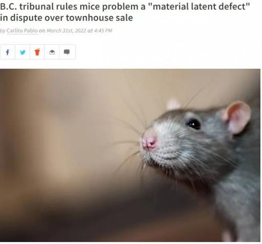 BC 省华裔卖家因为没有披露房屋这件事惹大麻烦