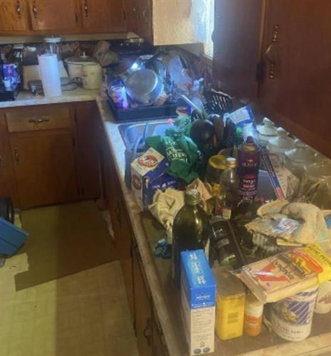 加拿大卖房垃圾堆成山！竟然也秒售出！