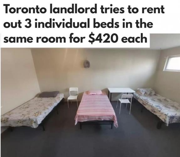 多伦多房东竟然开始按床收租金了：每床$420