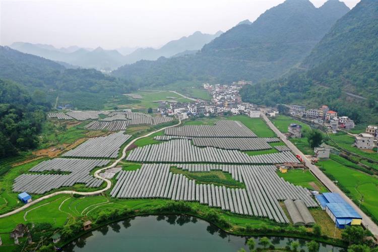 左右江革命老区：边陲老区谱写开放发展新篇