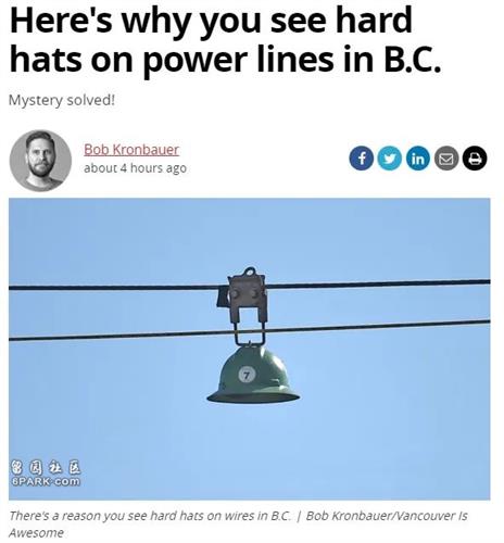揭秘为何BC省电线上挂安全帽 原来还有这典故