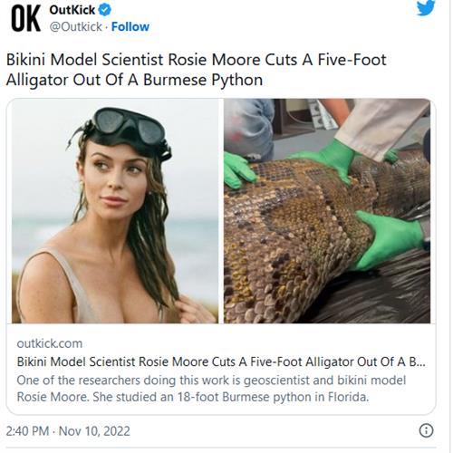性感美女科学家剖开巨蟒拖出完整鳄鱼 视频爆火