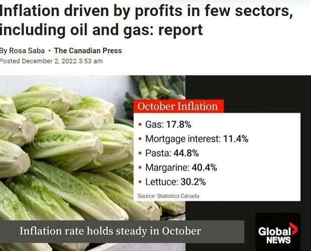 这波通胀潮民众受苦 但加拿大这几个行业赚翻了