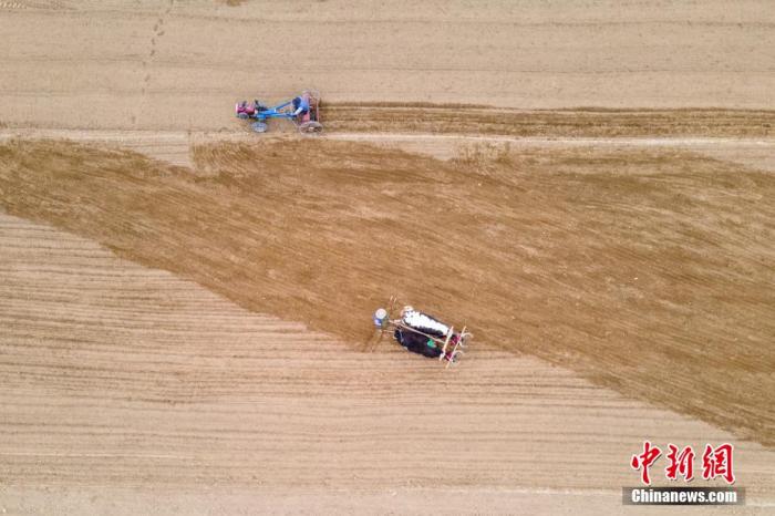 西藏日喀则田间，“二牛抬杠”和拖拉机耕地同时进行。 江飞波 摄