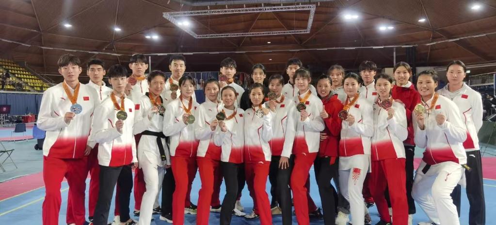 中国跆拳道队荷兰公开赛收获八金