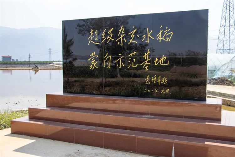 冲击连片亩产1200公斤—袁隆平超级杂交水稻蒙自示范基地见闻