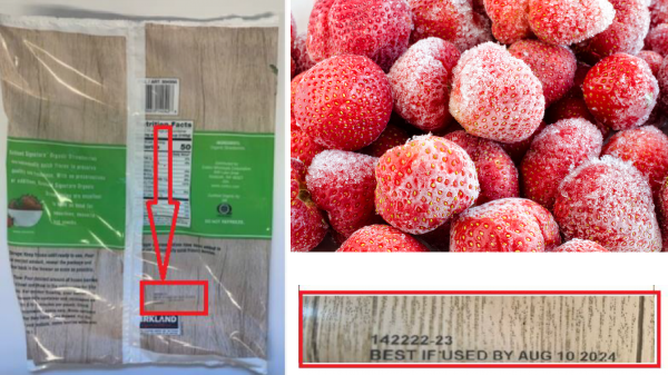 草莓让美国爆发甲肝 加拿大密切关注