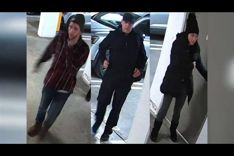 Image 2023-04-26 at 4.31 PM (1)