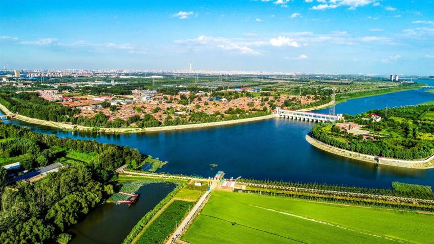 一条“彩带”串起“三兴”——记者蹲点大运河天津段看杨柳青青