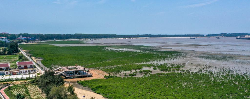 福建湄洲岛：污水变“循环活水”扮靓绿美海岛