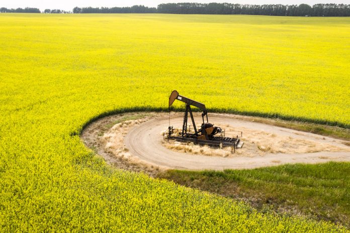 加中关系再陷冰点 加国农民担心又成为博弈棋子