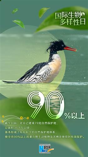 国际生物多样性日：这份成绩单来之不易